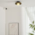 Disc Orb Ceiling Lamp