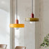 Schijf Orb hanglamp