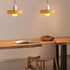 Schijf Orb hanglamp