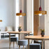 Schijf Orb hanglamp