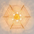 Dsybri Ceiling Light
