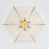 Dsybri Ceiling Light