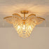 Dsybri Ceiling Light