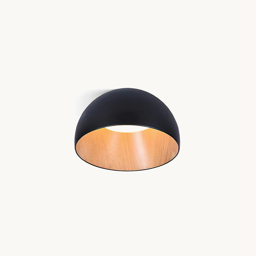 Duo Ceiling Lamp