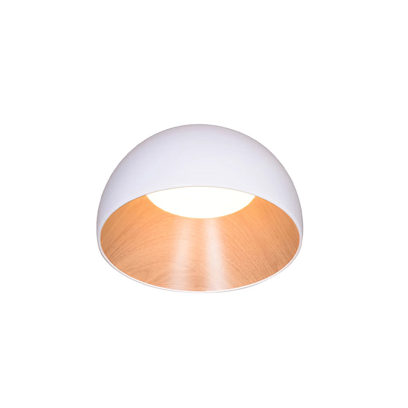 Duo Ceiling Lamp