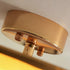Dutchess Ceiling Light