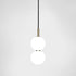 Echo Glass Pendant Light