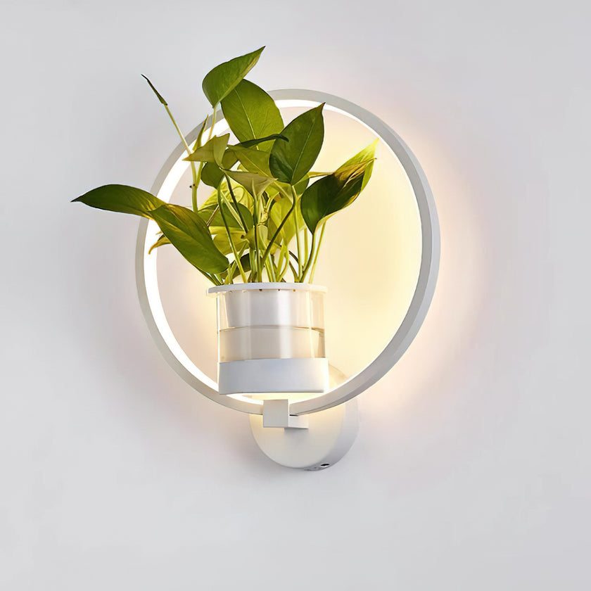 Ecological Wall Light