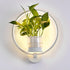 Ecological Wall Light