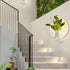 Ecological Wall Light