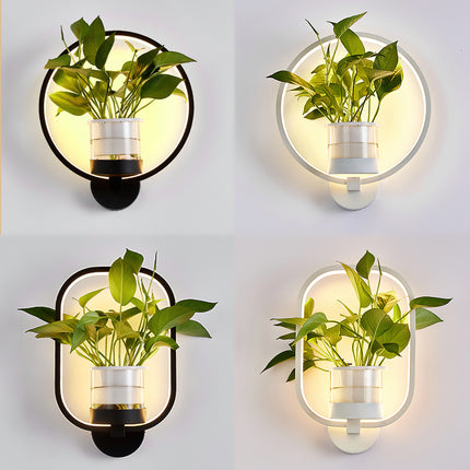 Ecological Wall Light