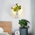 Ecological Wall Light