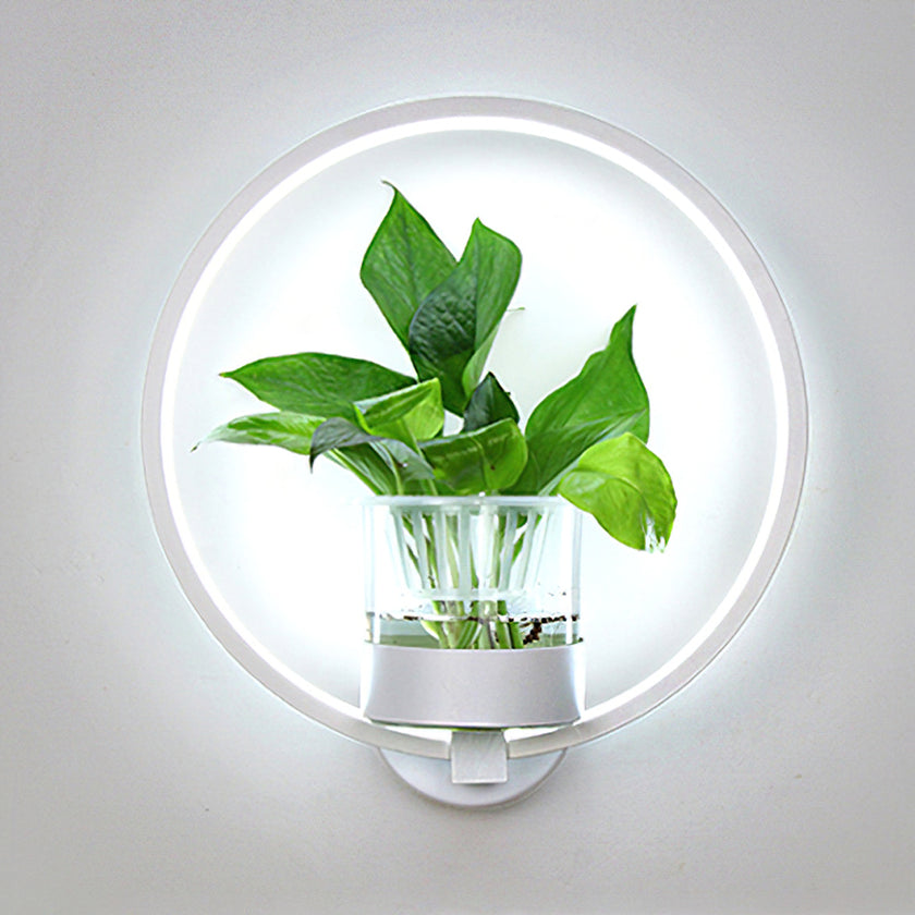 Ecological Wall Light