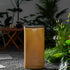 Ellette Solar Outdoor Light
