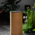 Ellette Solar Outdoor Light