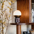 Evolet Table Lamp
