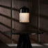 Felix Pendant Light