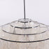 Fun Seashells Pendant Light