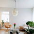 Fun Seashells Pendant Light