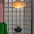 Fun Seashells Pendant Light
