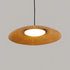 Growth Ring Pendant Lamp