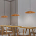 Growth Ring Pendant Lamp