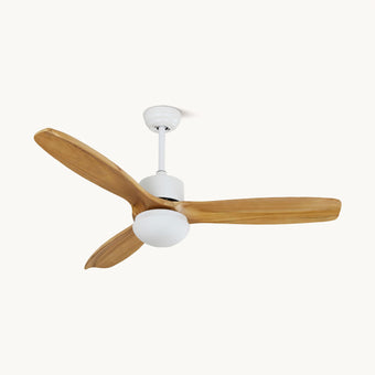 Haydn Ceiling Fan Light