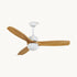 Haydn Ceiling Fan Light