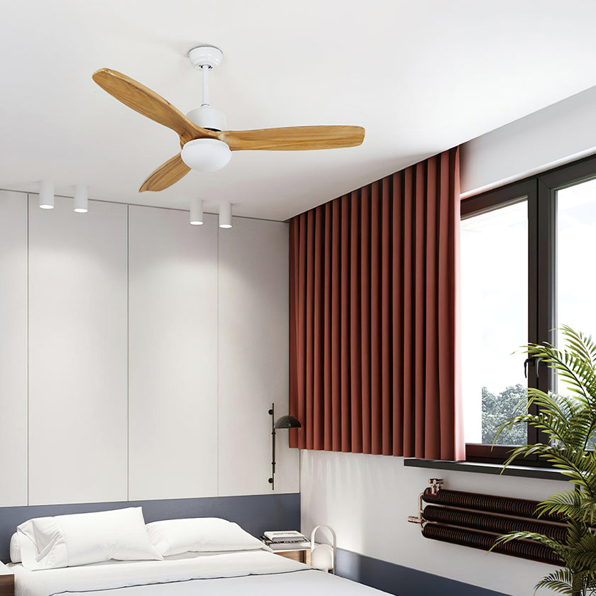 Haydn Ceiling Fan Light