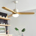 Haydn Ceiling Fan Light