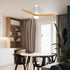 Haydn Ceiling Fan Light