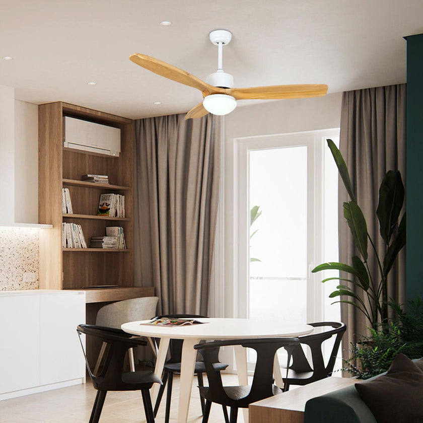Haydn Ceiling Fan Light