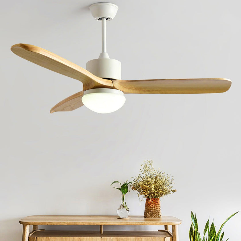 Haydn Ceiling Fan Light
