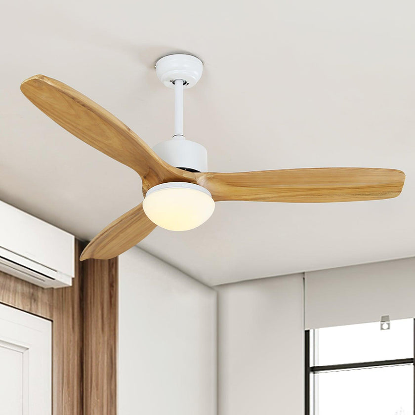 Haydn Ceiling Fan Light