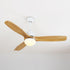 Haydn Ceiling Fan Light