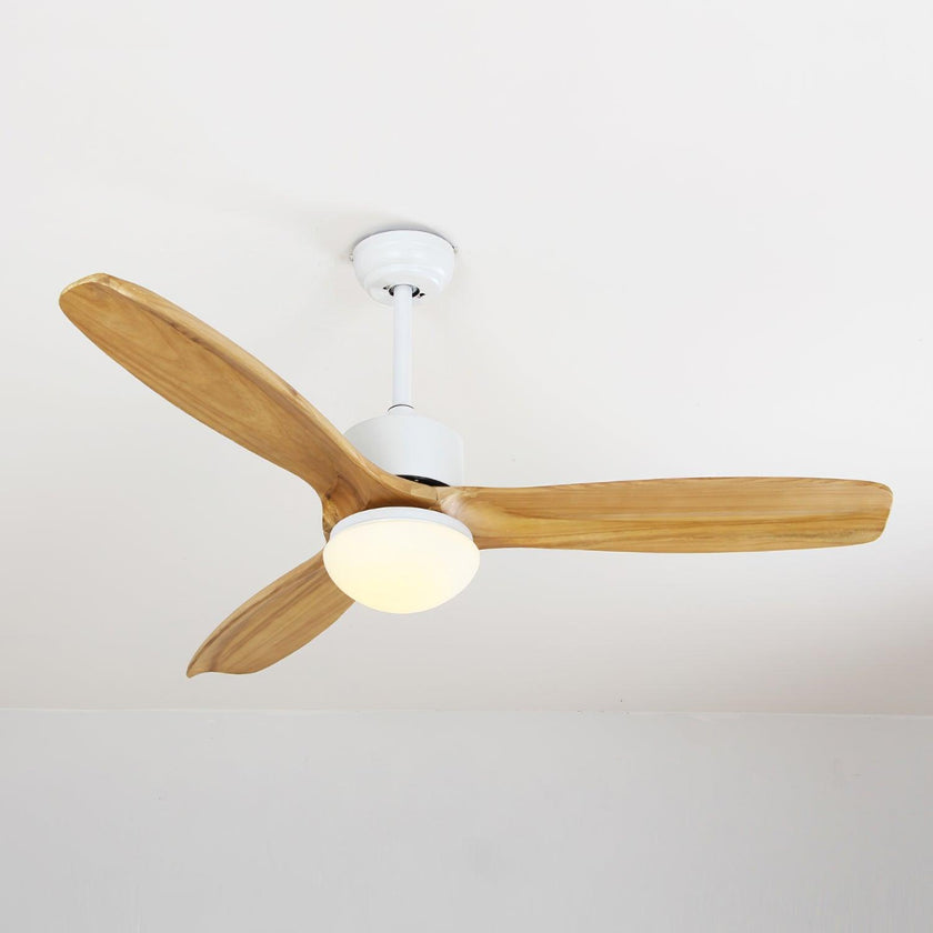 Haydn Ceiling Fan Light