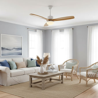 Haydn Ceiling Fan Light