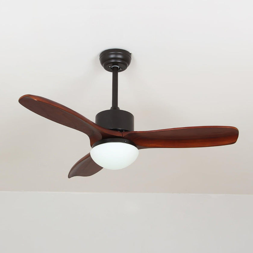 Haydn Ceiling Fan Light