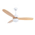 Haydn Ceiling Fan Light
