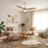 Haydn Ceiling Fan Light