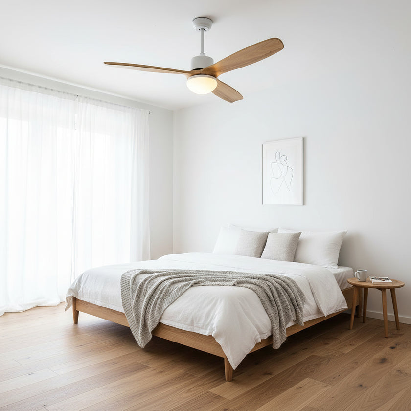 Haydn Ceiling Fan Light