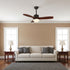 Haydn Ceiling Fan Light