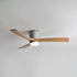 Ibalody Ceiling Fan Light