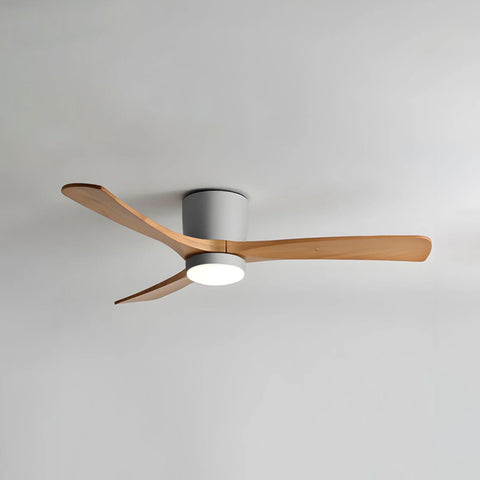Ibalody Ceiling Fan Light – detail 25