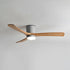 Ibalody Ceiling Fan Light
