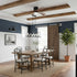 Ibalody Ceiling Fan Light