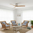 Ibalody Ceiling Fan Light
