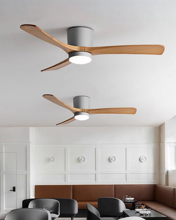 Ibalody Ceiling Fan Light