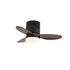 Janovia Ceiling Fan Light
