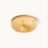 Jelly Glass Ceiling Lamp